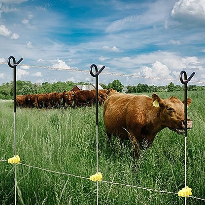 Fence Shock 30 Pack 41 Inches Systems Pig Tail Step-in Fence Post, Portable Stainless Steel Single Rope Poles/Stakes for Electric Fence, Garden, Farm, Flower Beds, Walkways, Fountains - Black - color: Black