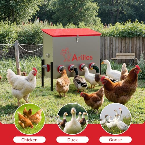 Automatic Chicken Feeder Box, 100lb Capacity, 10 No-Waste Ports, Metal Poultry Feeder with Covered Lid & Elevated Stand, Feed Dispenser for Chickens, Ducks & Backyard - size: 100 LB