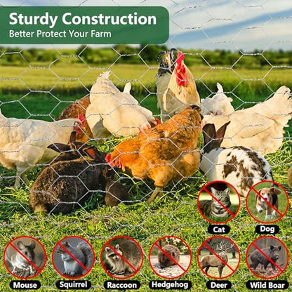 ROADPLUM Chicken Wire Mesh 13.8 x 157 in, Rustproof Galvanized Iron Garden Fence Barrier for Pet Rabbit Cat, Floral Chicken Wire Netting to Protect Poultry Plant Fruit - size: 13.8 x 157 in