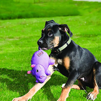 Kong - Phatz Pig - Medium - Reinforced Material for Durablity - Dog Toy - size: Medium
