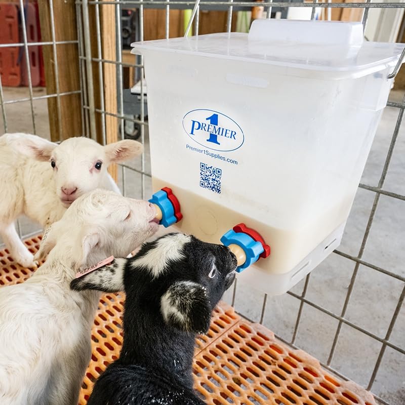 Premier 1 Lamb 'N' Goat Kid Prima Orphan Feeding Bucket (2.5 Gallon Square - 2 Holes) - size: 2.5 Gallon Square - 2 Holes