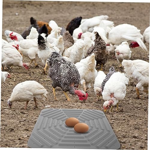 Kisangel Chicken Nesting Box Pad Washable Silicone Liner for Coop Bedding Soft and Nesting Pads for Chickens Non-Slip Design Suitable for Nest Box