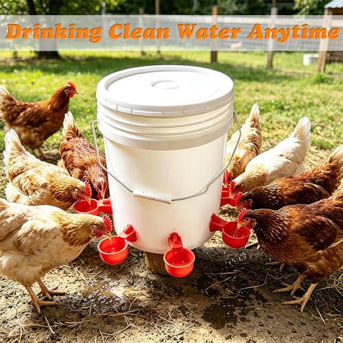 Large Automatic Chicken Waterer Cups, 6pcs Turkey Waterer Feeder for Poultry,Automatic Chicken Watering System, Water Feeder Kit Suitable for Duck, Chicks, Goose, Bunny and Bird