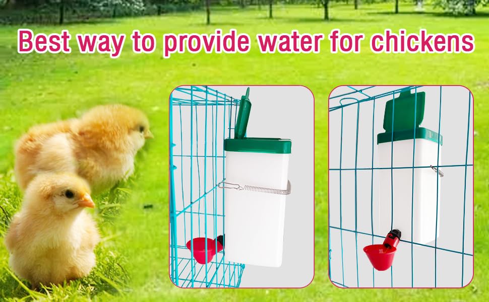 2pcs Automatic Drinker System Chick Water Cups 1L Hanging Automatic Fill Chick Cup Drinker Waterer Used for Cages