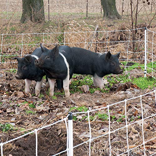 Premier 1 Pig QuikFence® Starter Kit | White/Black Electric Net Fence – 30"H x 100'L (2 Rolls), Includes: Solar Energizer, FiberTuff Support Posts and Tester