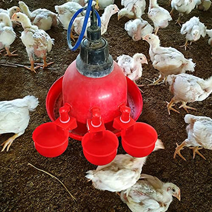 Patelai Chicken Water Cups, Chicken Waterer Cups Summer Water Feeder Cup 3/8 Inch Thread Automatic Filling Waterer Poultry Drinking Bowl for Duck Turkey Bunny(Red,6 Pieces) - color: Red