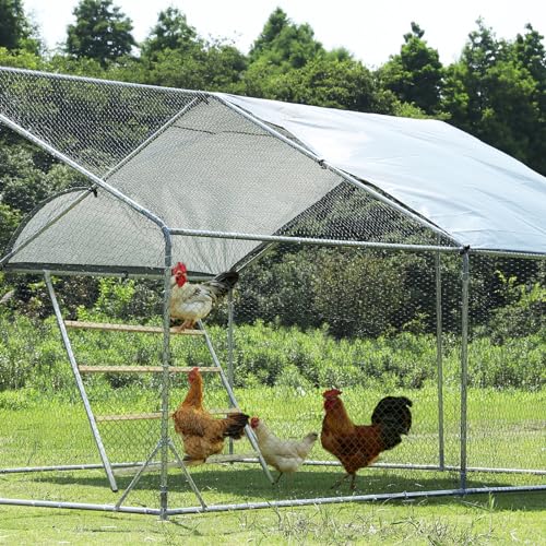 PETSFIT Square Chicken Roosting Perch, Perfect for Backyard Poultry, Chickens Perch for Coop, Easy to Assemble&Clean, Farm Chicken Toys (55" L x 40" W) - size: 55.0"L x 40.0"W x 2.5"H