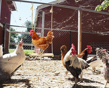 Chicken Swing Toy, Chicken Toy, Wood Chicken Swing Toy, Wood Chicken Swing for Chickens Rooster Poultry Parrots - size: 1pcs Chicken Swing