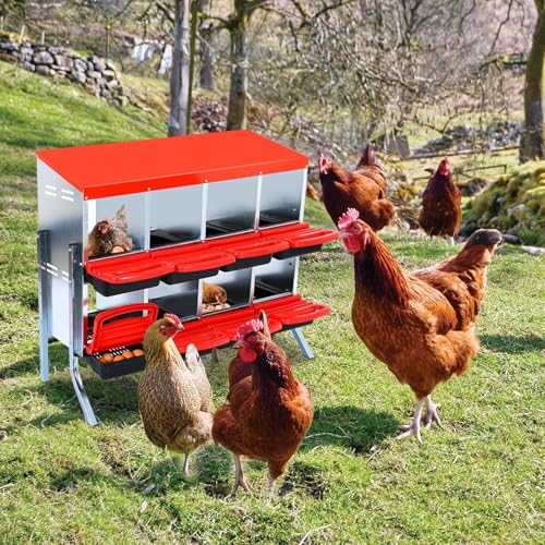 Chicken Nesting Boxes,8 Compartment Nesting Boxes for Laying Eggs with Legs,Wall Mount Poultry Roll Away Chicken Laying Boxes,Easy Egg Collection,Cleanable Pull Out Hen Roosting Boxes