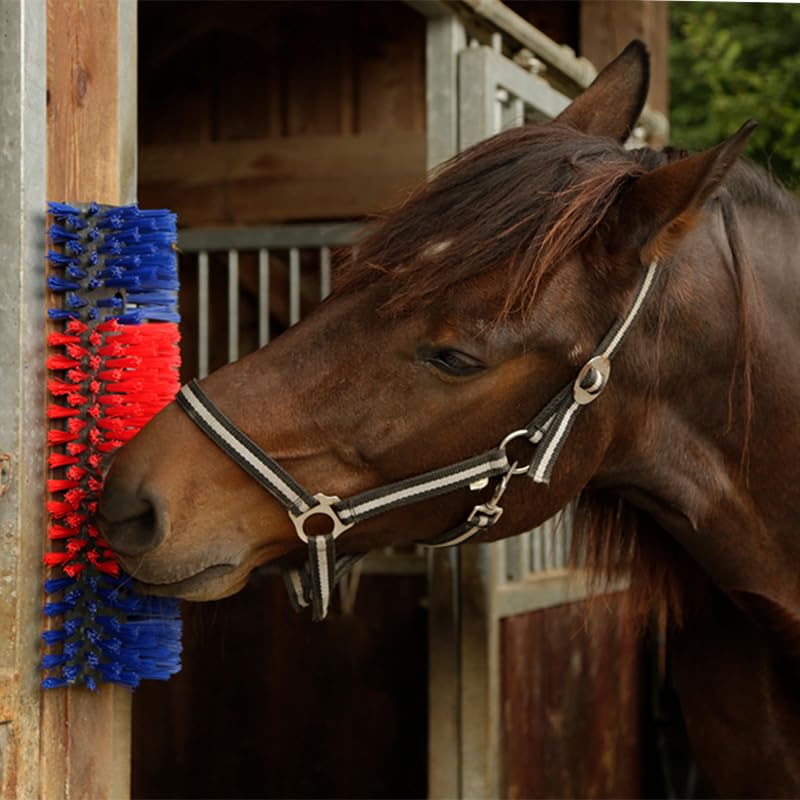 Premier 1 Scratch Brushes for Cattle, Sheep, Goats, Horses & Other Livestock | Durable 2" Stiff Bristles Built to Last | Easily Mounts with Hardware Included (Red/Blue - XL) - style: Red/Blue - XL