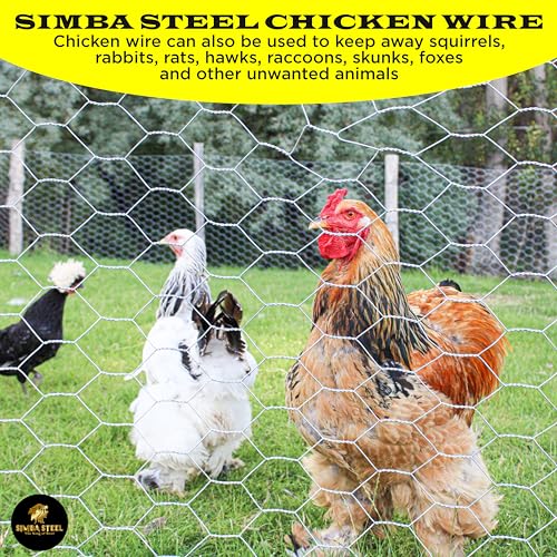 Chicken Wire 24 in x 50 FT x 2” Mesh x 20GA | Poultry Wire Netting | Hot Dipped Galvanised | Hexagonal Galvanized Mesh for Chicken Coop, Rabbit Cage, Fence Barrier PM24x50x2 - style: 24 in x 50 FT x 2 in
