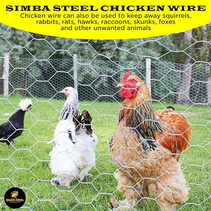 Chicken Wire 36 in x 200 FT x 2” Mesh x 20GA | Poultry Wire Netting | Hot Dipped Galvanized | Chicken Coop, Rabbit Cage, Fence Barrier (36 x 200 x 2) - style: 36 in x 200 FT x 2 in