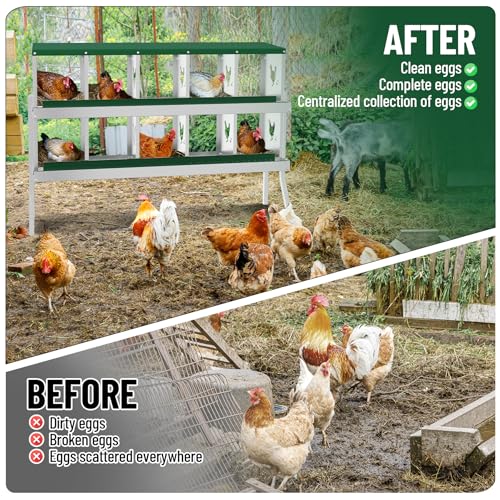 10-Room Metal Chicken Nesting Box, Heavy-Duty Galvanized Steel Egg Laying Box with Vented Holes & Leg, Wall-Mounted or Floor Use, Secure Egg Collection, Green