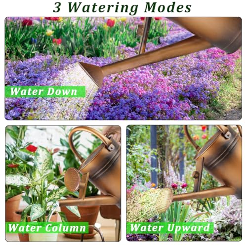 1 Gallon Metal Watering Can with Removable Spout, Nice Galvanized Steel Water Can for Indoor and Outdoor Plants (House Plants) - color: Bronze
