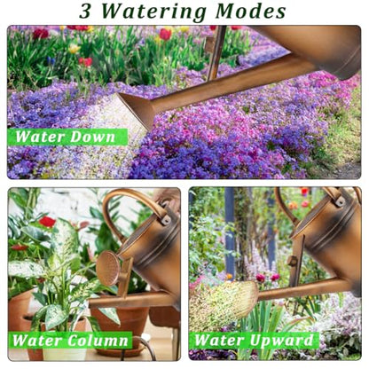 1 Gallon Metal Watering Can with Removable Spout, Nice Galvanized Steel Water Can for Indoor and Outdoor Plants (House Plants) - color: Bronze