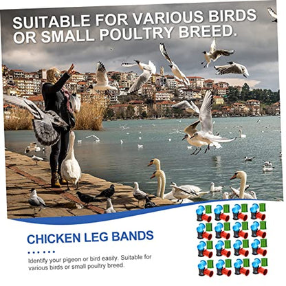 VICASKY 100Pcs Colorful Homing Pigeon Leg Bands Lightweight Identification Rings for Pigeons Chickens Birds Easy Marking for Poultry Breeds Random Colors