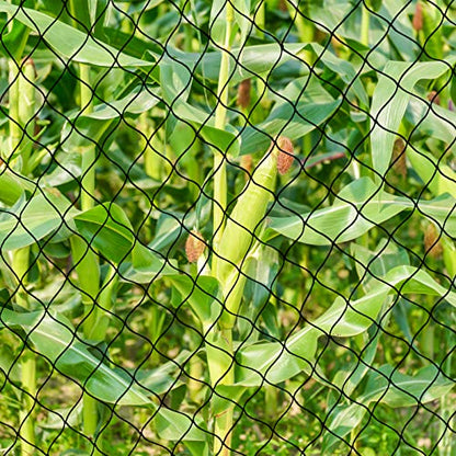 BSTPCOO Bird Net 25'x25' with 2.4" Square Mesh Bird Netting for Chicken Coop Roof, Poultry Netting Heavy Duty Nylon for Garden, Chicken Netting Fruit Tree Netting, Hawk Netting for Chicken Run - size: 2.4"-25' X 25'