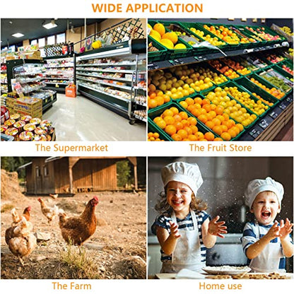 100PCS Egg Cartons Cheap Bulk, Each Holds Half Dozen Eggs (6 Eggs), Plastic Chicken Egg Tray Holder for Family Pasture Farm Market