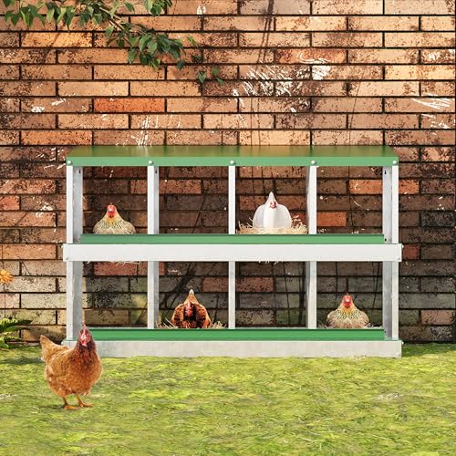 IDEALHOUSE Chicken Nesting Box, Galvanized Steel Laying Box with Rustproof & Roll-Away Egg Design, for Hens, Green 8 Compartment No Bracket - color: Green, size: 8 compartments (without bracket)