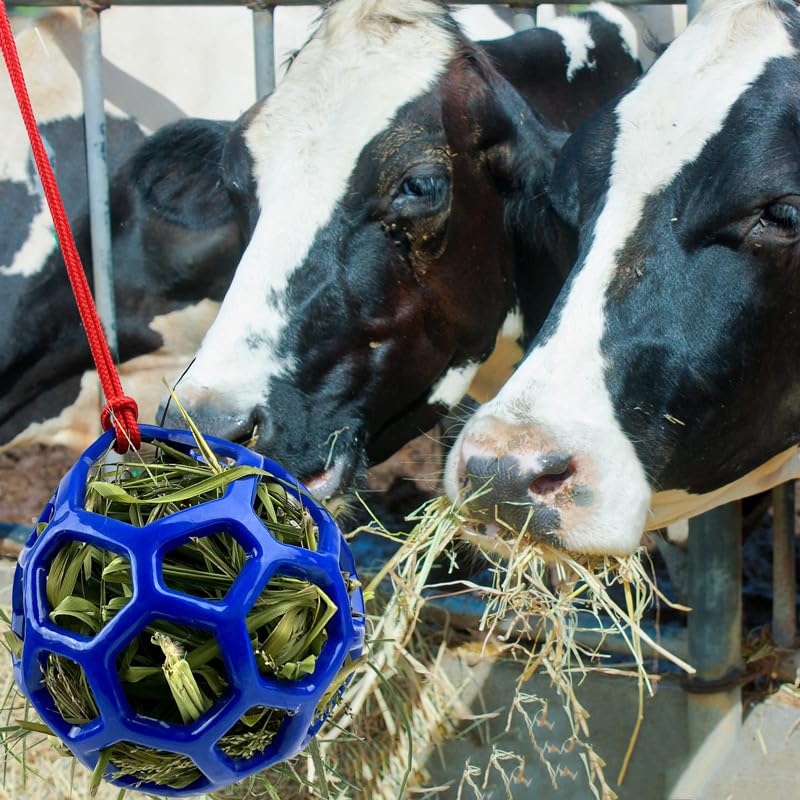 Farm Stall Hanging Feeder Toy Ball for Horses, Goats, Sheep – Durable TPR Feeding Ball, Hay Feeder for Animal Enrichment, Stretch-Resistant Design (Green) - color: green