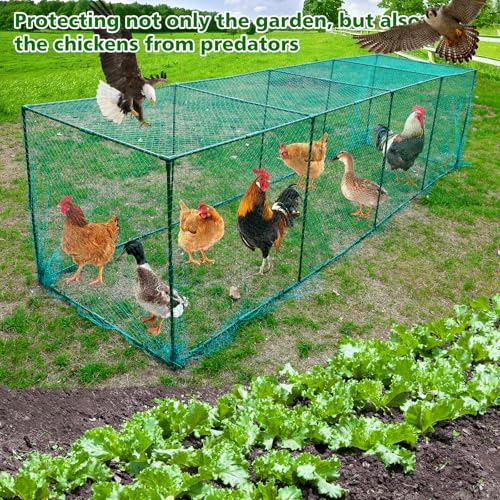 UNIFAMILY Large Chicken Tunnels,126 x 31IN Portable Chicken Coop Cube Run, DIY Chicken Tunnel for Outside Yard, Chickens Runs for Yard Easy Installation Poultry Coop Suitable for Duck, Rabbit