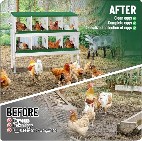 Chicken Nesting Box, 8 Compartment Metal Chicken Nesting Boxes for Chicken Coop, Large Vented Holes Chicken Laying Boxes with Rollout Egg Collection, Wall Mount Chickens Coops - color: Green, size: 8 Holes with Legs