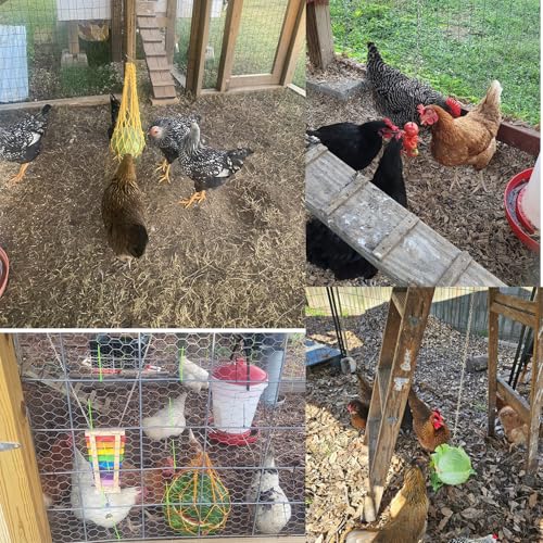 Chicken Toys for Coop 8 Set Chicken Swing Chicken Xylophone Mirror, Vegetable Hanging Feeder for hens