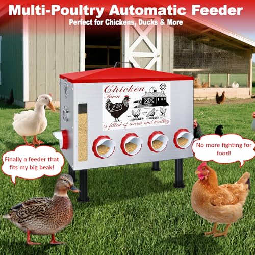 100Lb Automatic Chicken Feeder with Window 8 Port No Waste Rust-Proof Galvanized Steel with Locking Lid & Adjustable Height Legs Waterproof Portable Poultry Feeder for Chickens,Ducks,Geese - size: 100LB
