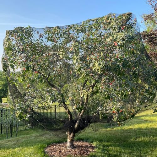 Bird Netting for Chicken Coop 50x100 Ft, 1" Mesh, Strong Woven Poultry Netting Roof Cover for Chicken Run, Heavy Duty Bird Net for Fruit Trees, Blueberry, Vegetables, Garden Protection - size: 50x100Ft-1"