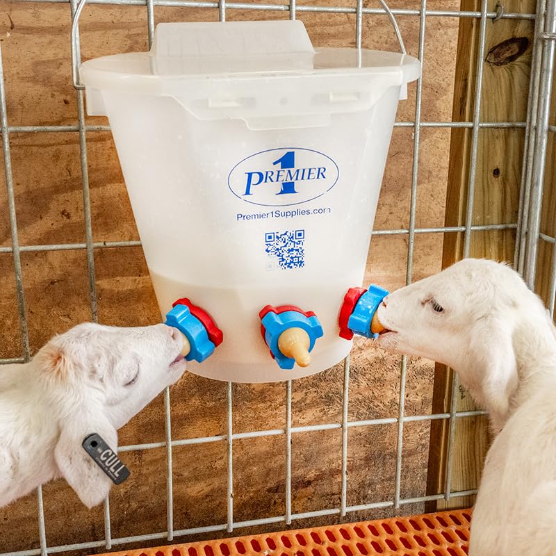 Premier 1 Lamb 'N' Goat Kid Prima Orphan Feeding Bucket (2 Gallon Round - 3 Holes) - size: 2 Gallon Round - 3 Holes