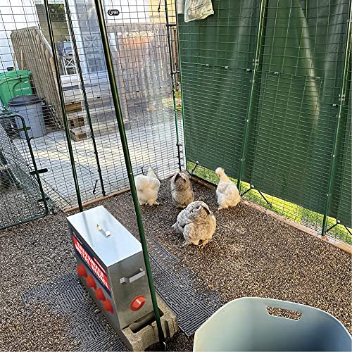 Large Capacity 85lbs Automatic Metal Poultry Feeder Set, Chicken Galvanized Trough, Chicken Feeder No Waste, Rainproof Poultry Feeders, Preventing Small Animals, Suitable for Chickens, Ducks, Turkeys