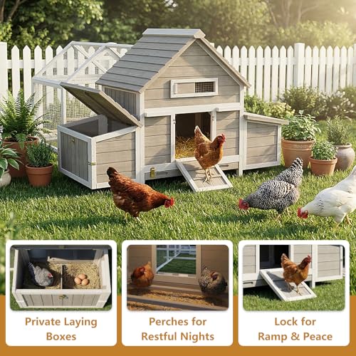 Large Chicken Coop with Run for 4-6 Chickens– Wooden Chicken House with 4 Nesting Boxes, Predator-Reinforced Design, 3 Roosting Perches, Poultry Hen Cage for Backyard Flock - style: 83"L x 58"W x 39.5"H