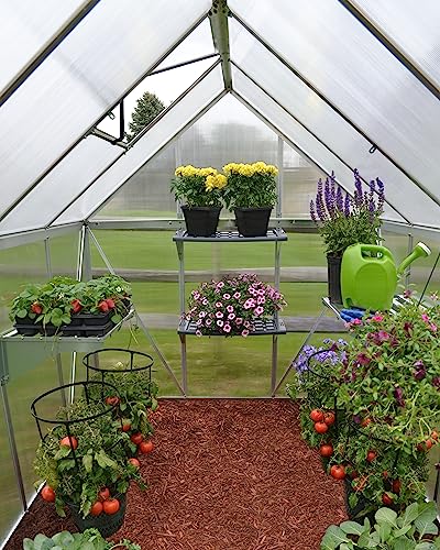 Palram - Canopia 6x10 Greenhouse Kit, Hobby Walk-In Twin-Wall UV Polycarbonate Heavy Duty Aluminum Frame, Lockable Door, Adjustable Roof Vent, Rain Gutters, Galvanized Steel Base, Mythos (Silver) - color: Silver, size: 6 Ft. x 10 Ft.