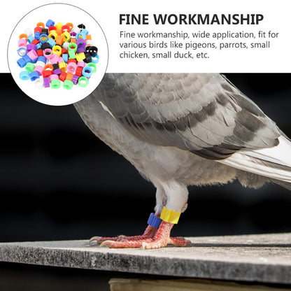 150pcs 8mm Pigeon Ring Identification Band Non-deformable Plastic Foot Ring for Birds Leg Bands Chicken