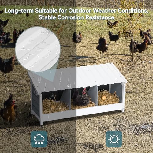 PETSFIT 3 Holes Chicken Nesting Box-All Weather PVC Roof, Natural Wood Design with Privacy Back Panel for Hens-Wall Mounted or Floor Use in Coops, Farms, Backyards,Easy to Assemble and Clean - size: 3 Holes