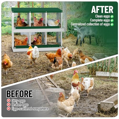 Chicken Nesting Box,6 Holes Galvanized Steel Metal Chicken Laying Box with Automatic Roll-Away Egg Collection System & Removable Tray,Wall Mount Nesting Boxes - color: Green, size: 6 Holes