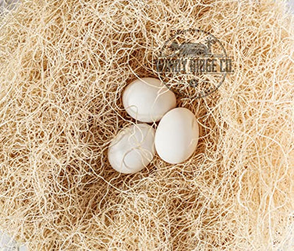 Natural Chicken Nesting Pads - 10 Pack - Aspen Excelsior Bedding Hen Nest Box Liners - USA Made - 13" x 13"