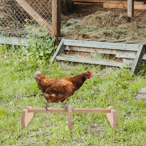 SUPVOX Wooden Chicken Perch for Coop Natural Smooth Roosting Bar Hen Standing Perch 15.74X5.90X2.55In Suitable for Large Birds and Hens