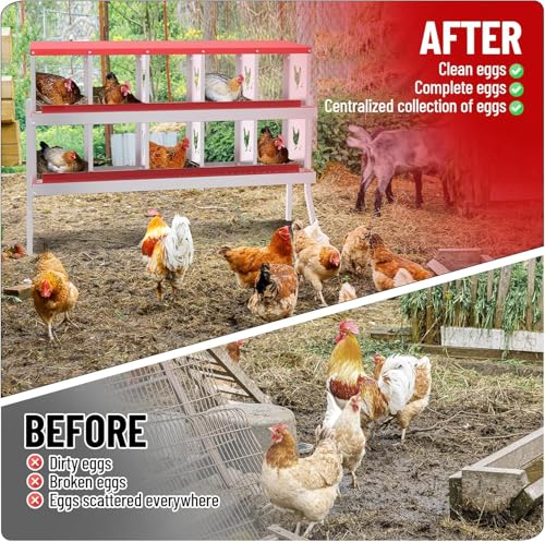 TrailBlaze 10 Compartment Chicken Nesting Box with Metal Legs, Chicken Egg Laying Boxes with Rollout Egg Collection, Large Vented Holes Chicken Coop for Chickens, Hens (Red) - color: Red, size: 10 Holes with Legs