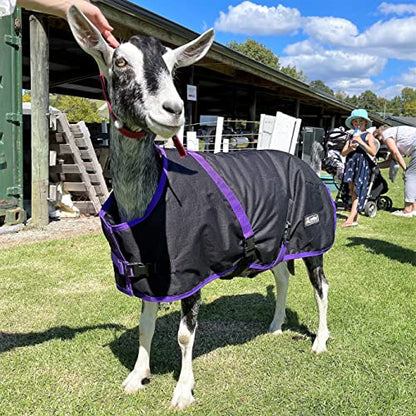 AniMac Super Calf Jacket for Calves, Sheep, Alpaca, Goats and Dogs – Premium Waterproof Livestock Coat – Breathable – Synthetic – Machine Washable - size: Small