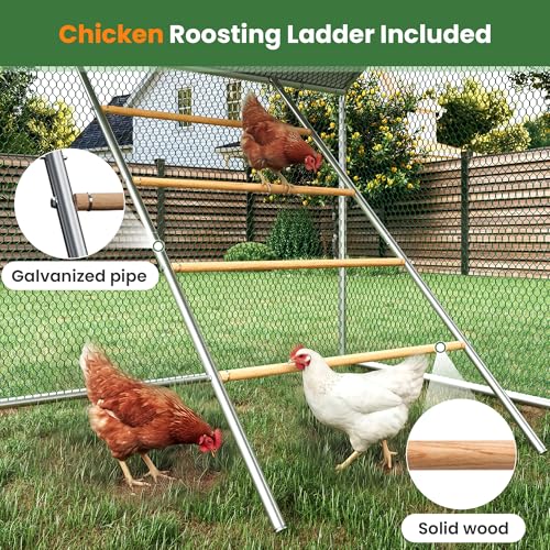 Walk-in Chicken Coops 10 x 20 Large Metal Chicken Runs with Waterproof Hardware Cloth Cover Poultry Cage with Split Double Door - color: Silver, size: 120.0"L x 228.0"W x 79.0"H
