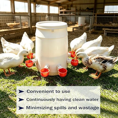 8pcs Large Automatic Chicken Waterer Cups | Chicken Water Feeder Suitable for Chicks, Duck, Goose, Turkey and Bunny | Poultry Water Feeder Kit
