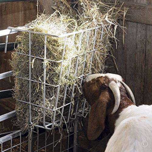 Premier 1 X-Tuff Single Sided Hay Feeder