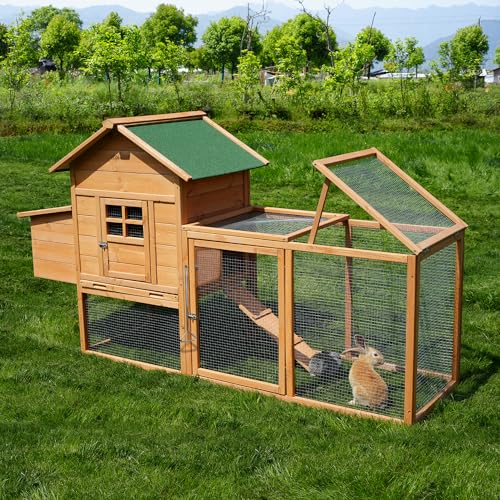 Morngardo Chicken Coop for 2-4 Chickens Wooden Outdoor Poultry Cage Rabbit Hutch with Ramp, Nesting Box, Tray, Roosting Bar, 4 Access Areas - size: 2-4 Chickens