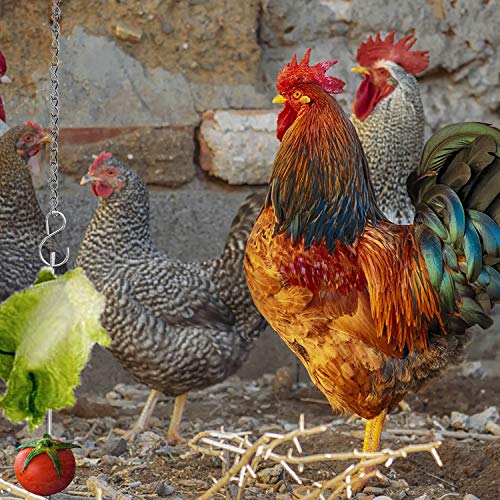 Chicken Veggies Skewer Vegetable Hanging Feeder Toy Chicken Fruit Feeder for Hens Chicken Large Birds Pet
