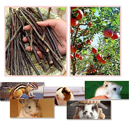 TAI JI Apple Sticks Small Animals Chew Toys for Chinchillas Guinea Pigs Rabbits Hamsters Squirrels (3.6oz(100g)) - size: 3.6 Ounce (Pack of 1)