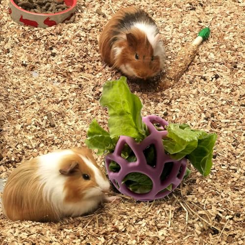Rabbit Toys Hanger Treat Ball Silicone Hay Feeder with Stainless Steel Hanger for Turtle Bunny Squirrel Hedgehog Tortoise Guinea Pig Pets Cage Accessories Stuff (2 Pack) - size: 2 Pack