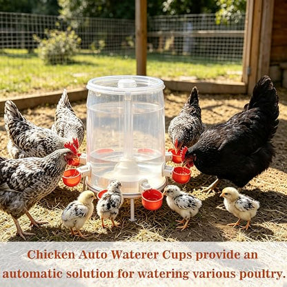 8pcs Large Automatic Chicken Waterer Cups | Chicken Water Feeder Suitable for Chicks, Duck, Goose, Turkey and Bunny | Poultry Water Feeder Kit