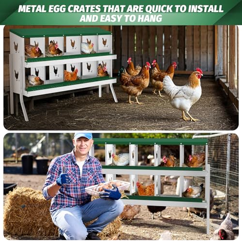 IDEALHOUSE Chicken Nesting Box, Galvanized Steel Laying Box with Rustproof & Roll-Away Egg Design, for Hens, Green 10 Compartment with Bracket - color: Green, size: 10 compartments (with bracket)