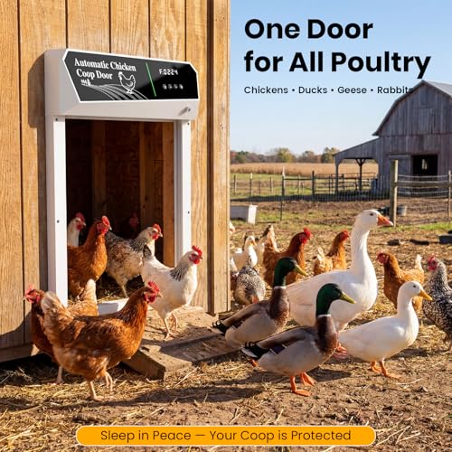 Automatic Chicken Coop Door Solar Powered, Roll-Up Auto Chicken Door with Timer & Light Sensor, Anti-Pinch Safety, Remote Control, Weatherproof Aluminum